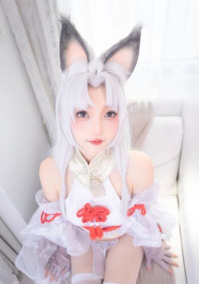 第十九年电视剧免费观看完整版