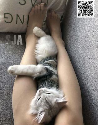 守着阳光守着你 电视剧