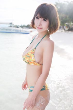 长相思第一季电视剧免费完整版