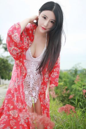胡狼来了
