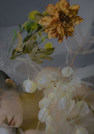 迷局破之深潜免费播放电视剧