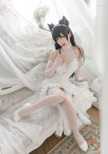 一笑动君心第三季免费观看