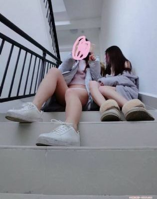 凤御九龙