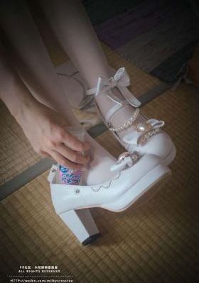 间谍过家家第一季樱花番剧简体